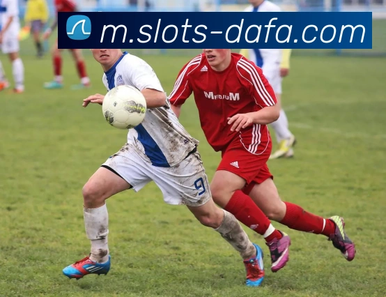 大发娱乐平台生态图