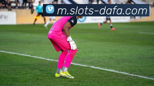 大发娱乐APP 封面图